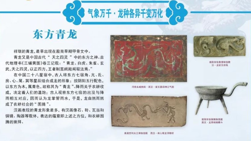龙年看龙展：《龙起中华——中国龙文化百馆联展》三