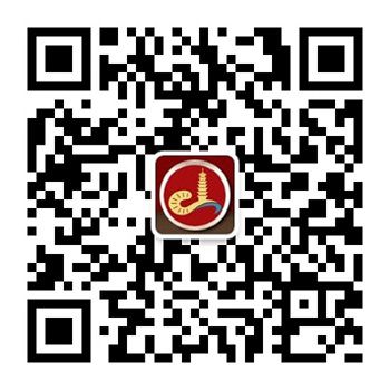 河源市博物馆微信公众号正式启用
