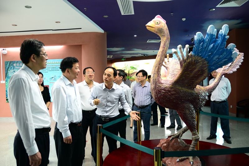 慎海雄赞河源恐龙资源“不可思议”