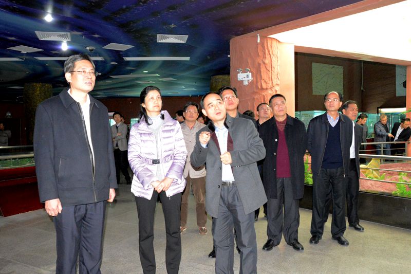 肇庆市党政代表团到我馆参观考察
