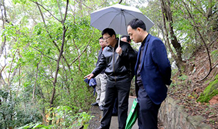 市文广新局领导到我馆调研龟峰塔保护及安防更新改造工程