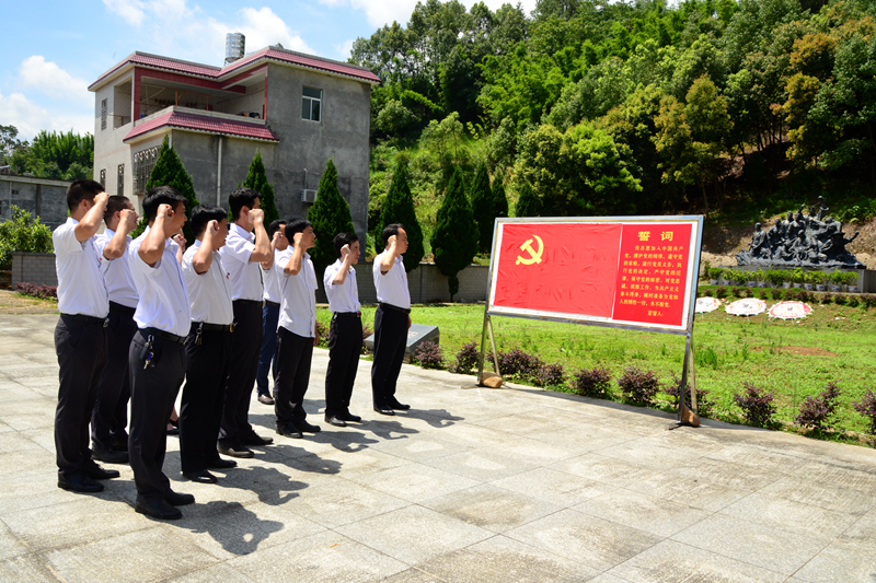 市博物馆组织党员到紫金苏区开展主题党日活动