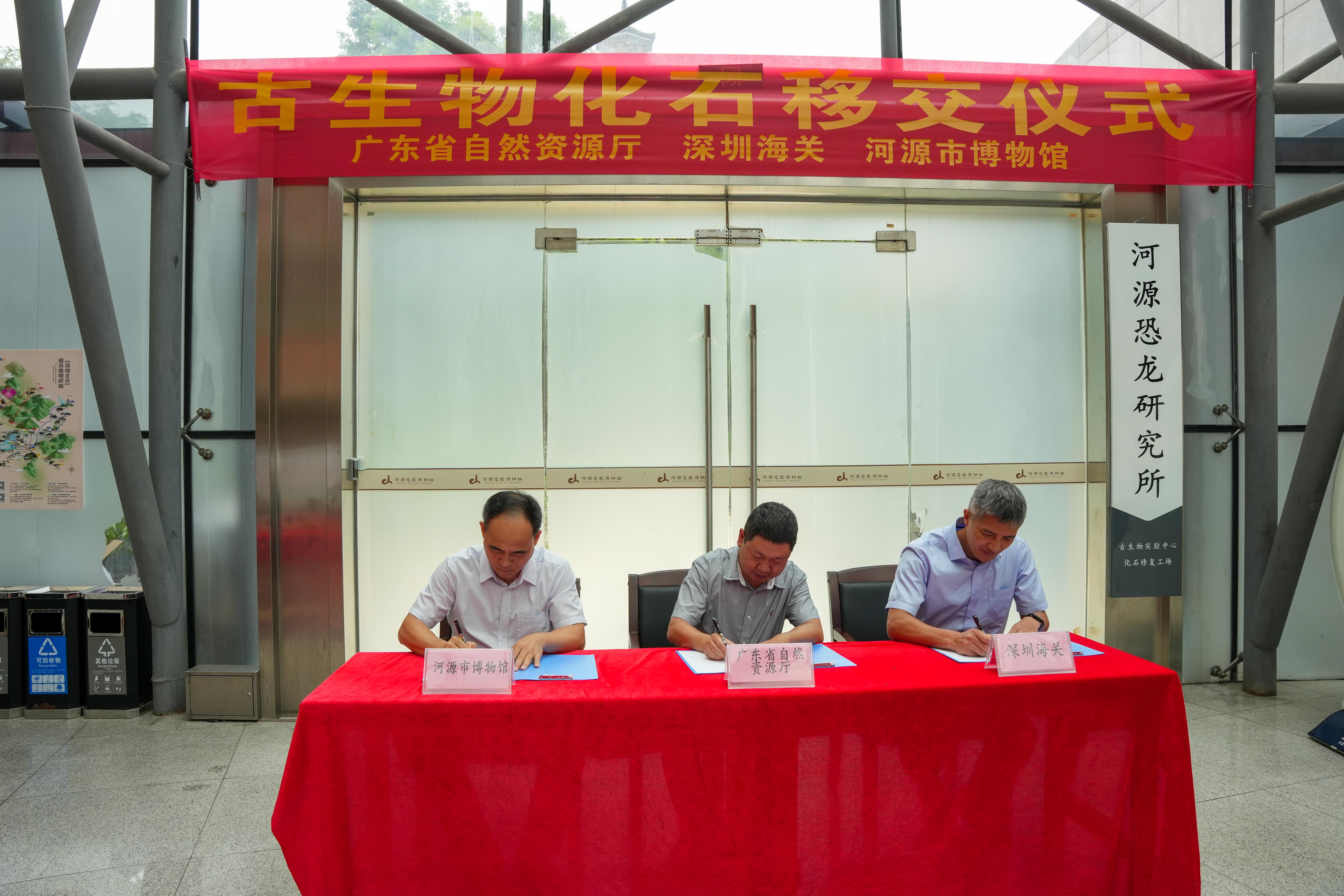 广东省自然资源厅与深圳海关联合向河源市博物馆移交古生物化石一批