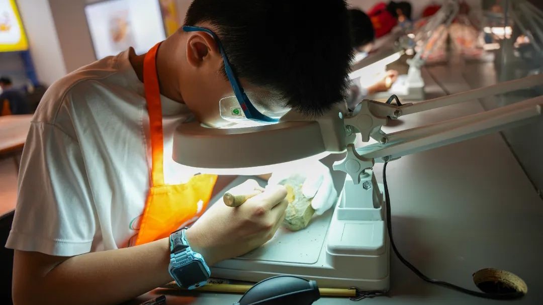 报名体验本周六，河博邀请你来“修化石”