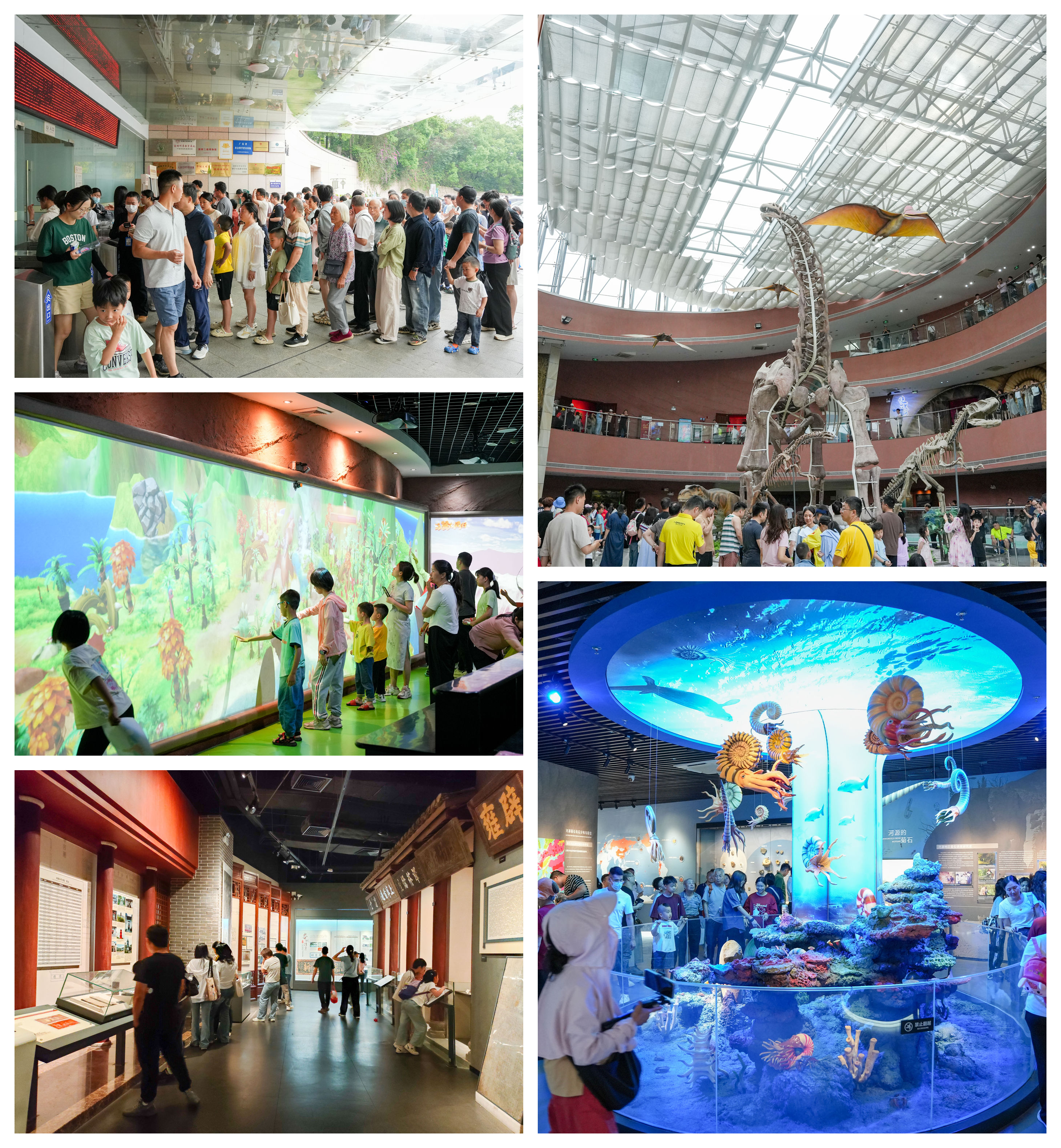 参观接待1.jpg