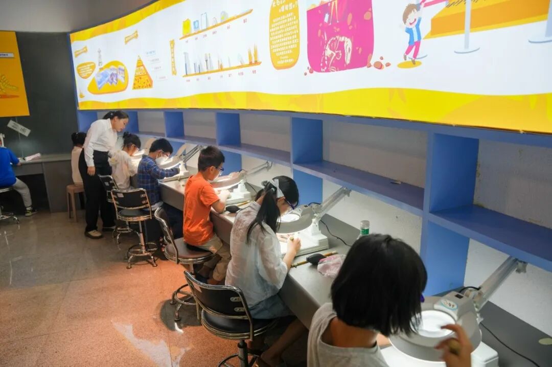 穿越亿年的邀约！“我在河博修化石”第九期招募“小小考古家”啦